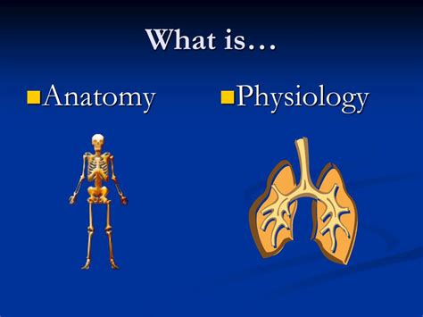 Anatomy And Physiology Difference
