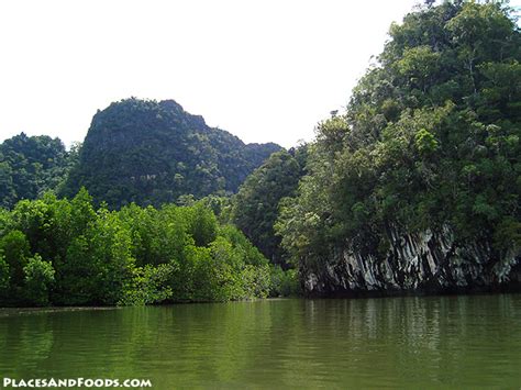 5 Things To Do In Langkawis Mangrove Eco Tour