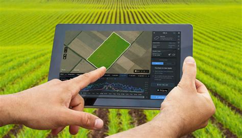 Auravant La App Que Digitaliza El Campo A La Agricultura Del Futuro