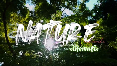 Into The Nature Nature Cinematic B Roll Nature Film Cinematic