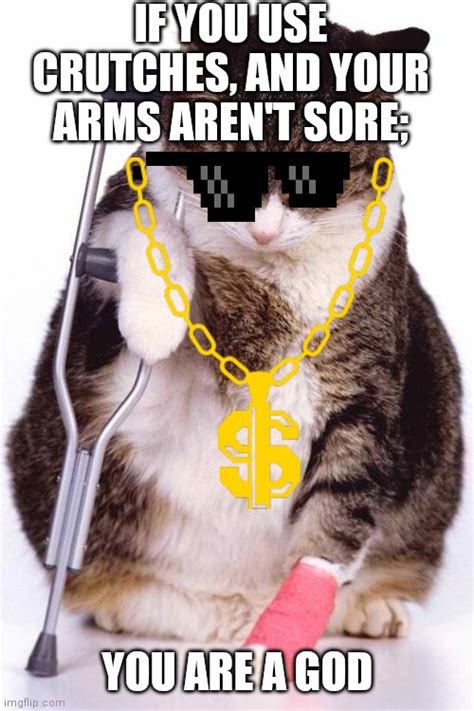 Image Tagged In Crutch Cat Imgflip