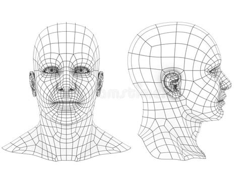 Human Head Side View Stock Illustrations 6729 Human Head Side View