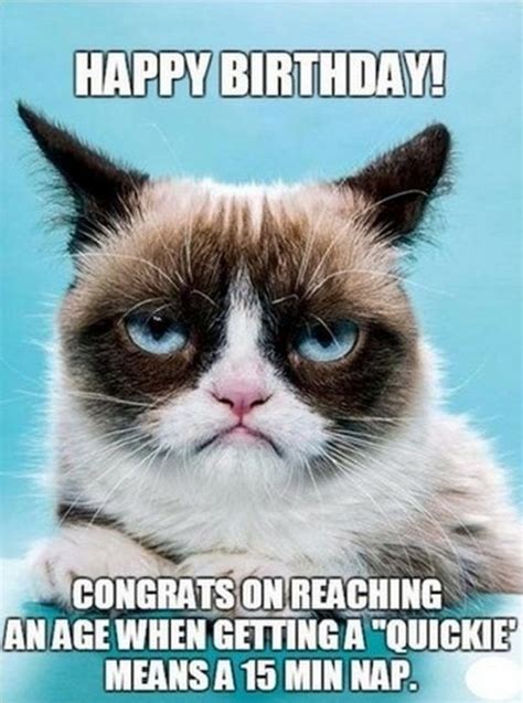 Funny Cat Birthday Memes For The Feline Lovers In Your Life Funny Grumpy Cat Memes Grumpy