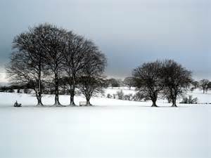 Trees In Snow Covered Fields © Iain Thompson Cc By Sa20 Geograph
