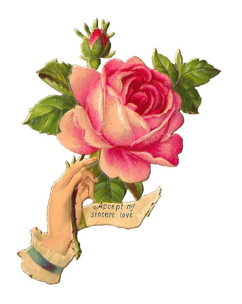 Free Victorian Rose Pictures Download Free Victorian Rose Pictures Png