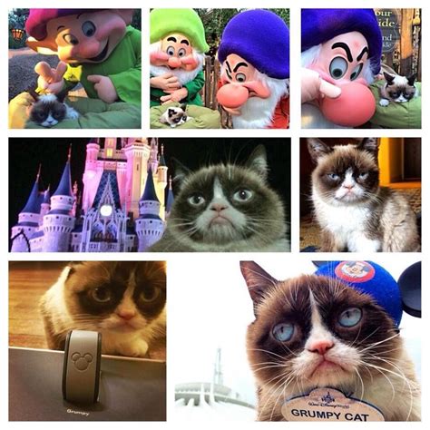 Grumpy Cat Went To Disney World Grumpy Cat Disney Seven Dwarfs