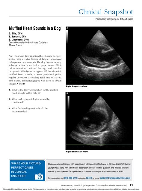 Hope we will have another year of blessing good luck and many happiness~~! (PDF) Clinical Snapshot: muffled heart sound in a dog