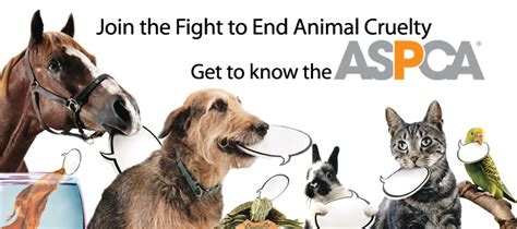 Support The Aspca And Help Animals Organice Your Life