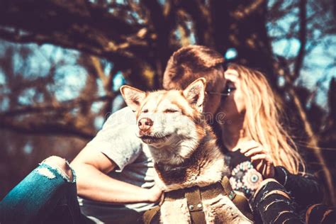 Portrait Of Husky Dog Outdoor With Kissing Couple Behind Stock Image
