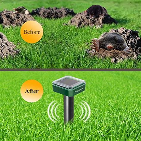 When it comes to repelling voles in your yard and garden areas, there's no such thing as the best option. 2 x VENSMILE Solar Powered Mole Repellent Gopher Repeller ...