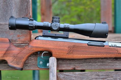 Best Air Rifles For Squirrel Hunting In 2023