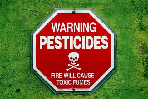 Usda Report Pesticide Residue Nothing To Fear Eat Sweat Live