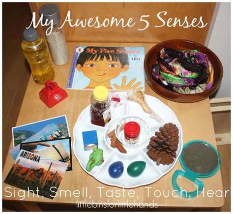 5 Senses Activities For Preschoolers 5 Senses Activities Senses