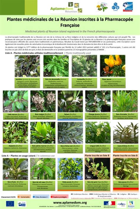 Plantes Médicinales De La Réunion Inscrites à La Pharmacopée