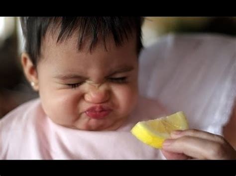 Baby Eats Lemon A Babies Eating Lemons For The First Time Compilation