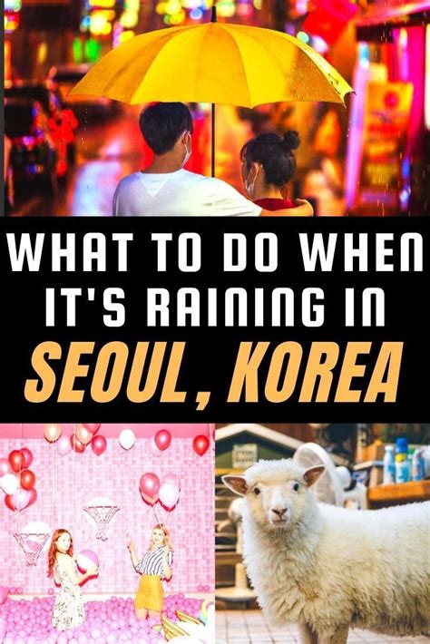 Dont Let The Rain Spoil Your Trip To Seoul Find Out Lots Of Great