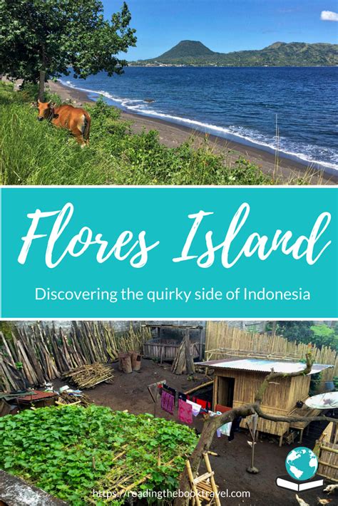 The Farmyard In Bajawa Adventures On Flores Indonesia Travel