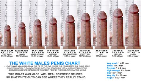 Average Penis Size Picture XXX Porn Library