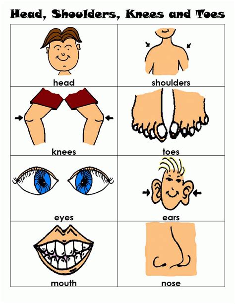 Head Shoulders Knees And Toes Flashcards Head Lesson Plans Learning