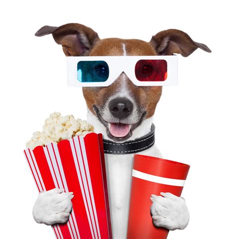 Can Dogs Have Popcorn