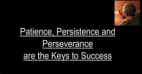Patience Persistence And Perseverance Are The Keys To Success