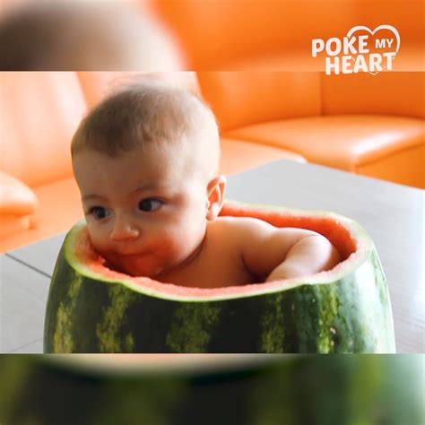 Baby Sits In Watermelon And Eats It Baby Baby Summer Summer