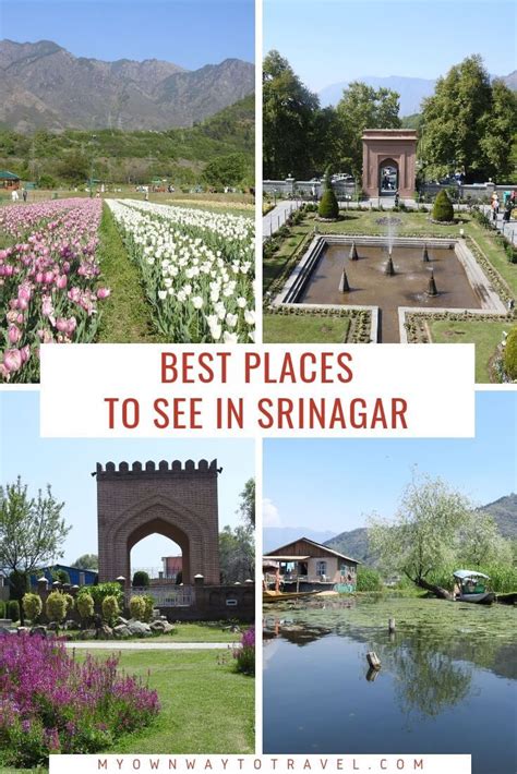 Top Attractions And Best Things To Do In Srinagar My Own Way To