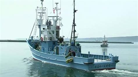 Japanese Whaling Ships Start Their Annual Spring Hunt Bbc News