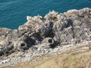 Fossil Forest Lulworth © Philip Halling Cc By Sa20 Geograph