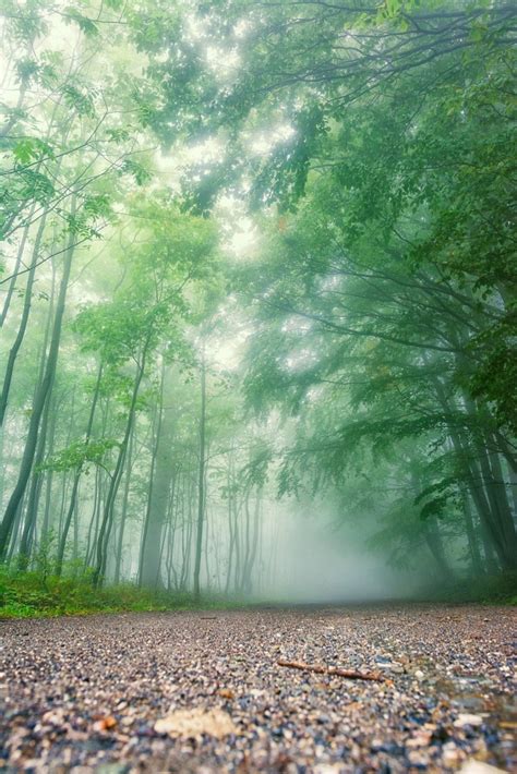Your Step By Step Guide To Photographing And Editing Foggy Landscapes
