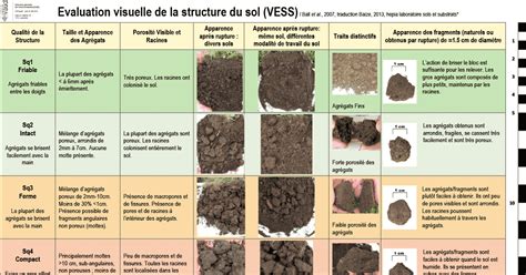 Evaluation Visuelle De La Structure D Un Sol A2C Le Site De L