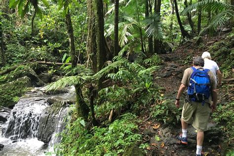 2023 El Yunque National Forest Half Day Tour
