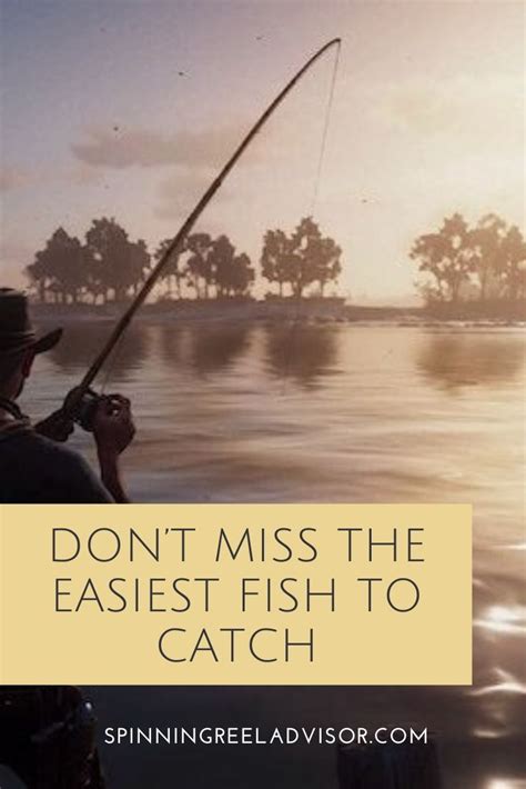 Dont Miss The Easiest Fish To Catch Fish Fishing Tips Catch