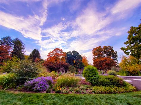 Virtual Ways To Enjoy The Cemetery Mount Auburn Cemetery