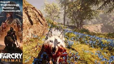 The rich setting of the stone age provides a new setting filled with unpredictable mayhem, dangerous threats, and. Far Cry Primal - Part 26 - Snowblood Wolf Hunt (Expert ...