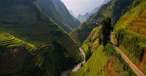The Hillside Rice Field Terraces Of Thailand Pics