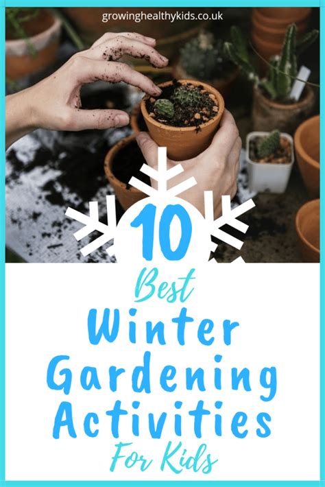 10 Best Winter Garden Ideas For Kids Planting For Kids Winter Garden