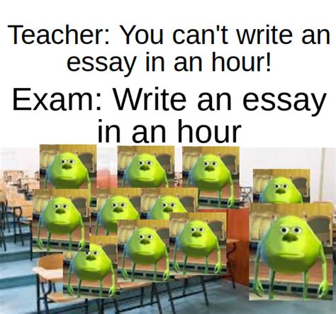 The Best Essay Memes Memedroid