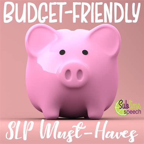 Budget friendly slp must haves – Artofit