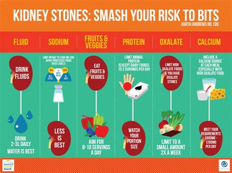 Kidney Stones Smash Your Risk To Bits Stone Centre