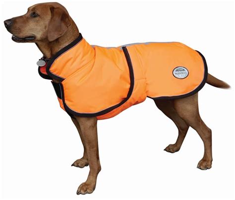 Brrr Check Out The 8 Best Dog Winter Coats