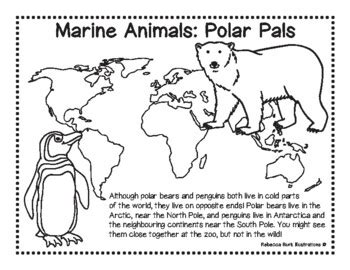 Animal classifications cut & paste pages. Marine Animals Classification Worksheet & Fun Facts ...