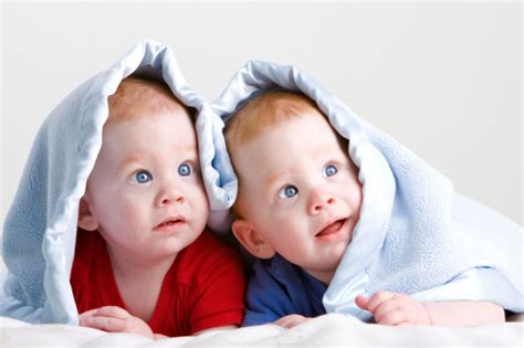 Why Do Twins Understand Each Other Siowfa15 Science In Our World
