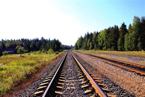 Free Images Nature Forest Outdoor Track Railway Railroad