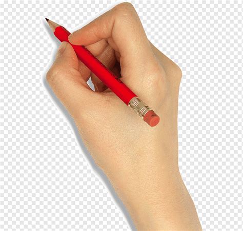 Sosteniendo Una Pluma Para Escribir Una Mano Bolígrafo Escribir Png