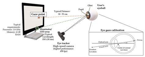 Components Of A Typical Eye Gaze System Adapted From 2238 The Download Scientific Diagram