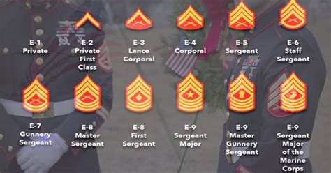 U S Marine Corps Ranks List Of Ranking In Order