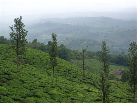 Wayanad Wonders Wayanad Kerala Incredible India