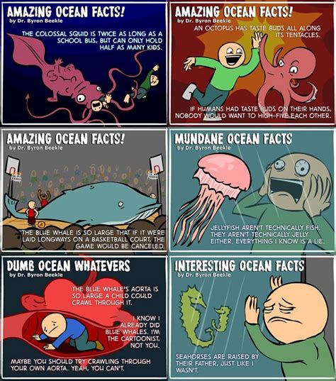 10 interesting marine biologist facts my interesting facts