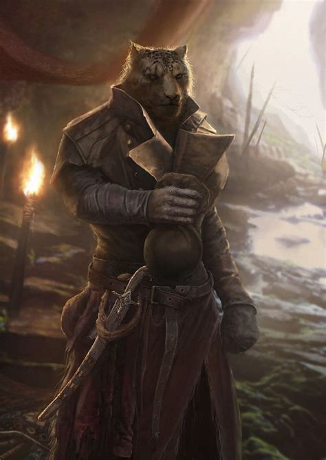 Khajiit Fan Art Fantasy Character Design Character Art Concept Art